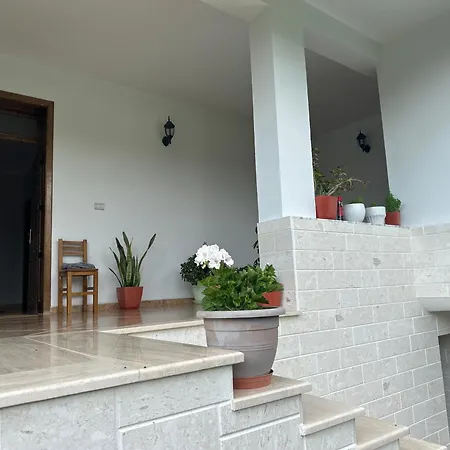 Enea